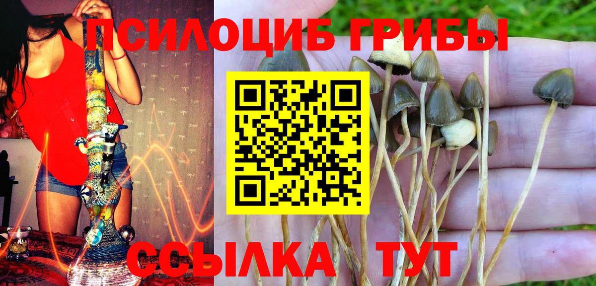 Рыбинск  Галлюциногенные грибы MAGIC MUSHROOMS  Псилоцибиновые грибы прущие грибы  купить наркотик  Вход с VPN 